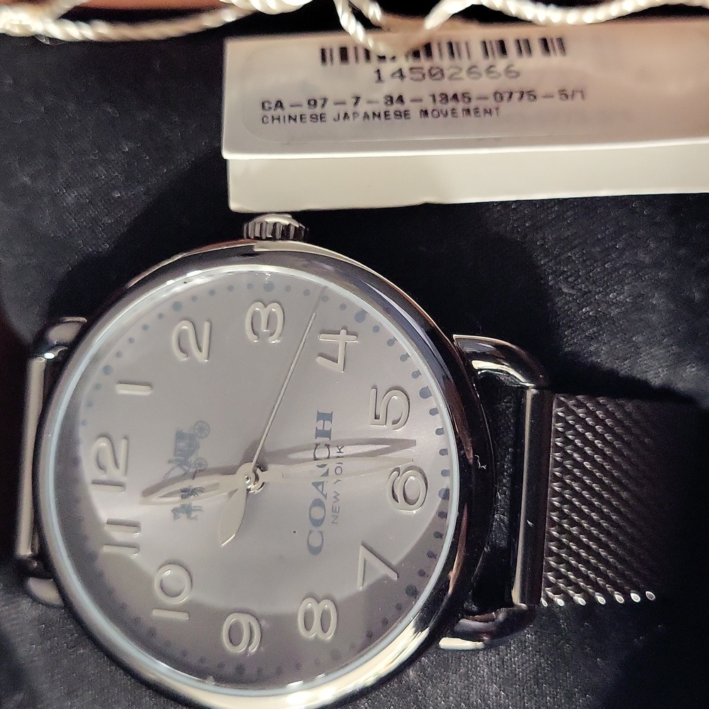 Coach Delancey Watch